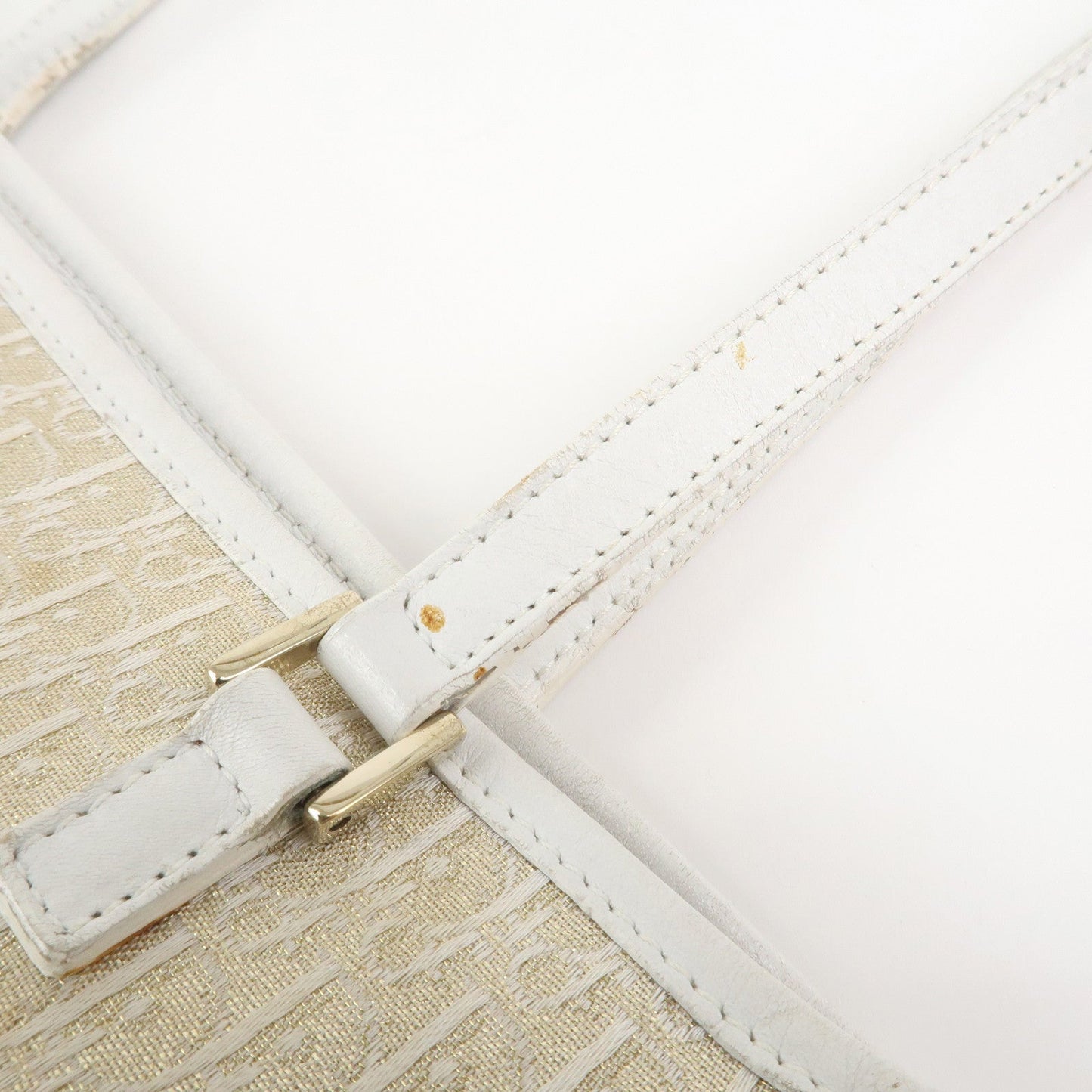 Christian Dior Trotter Canvas Leather Tote Bag【Pre-order】