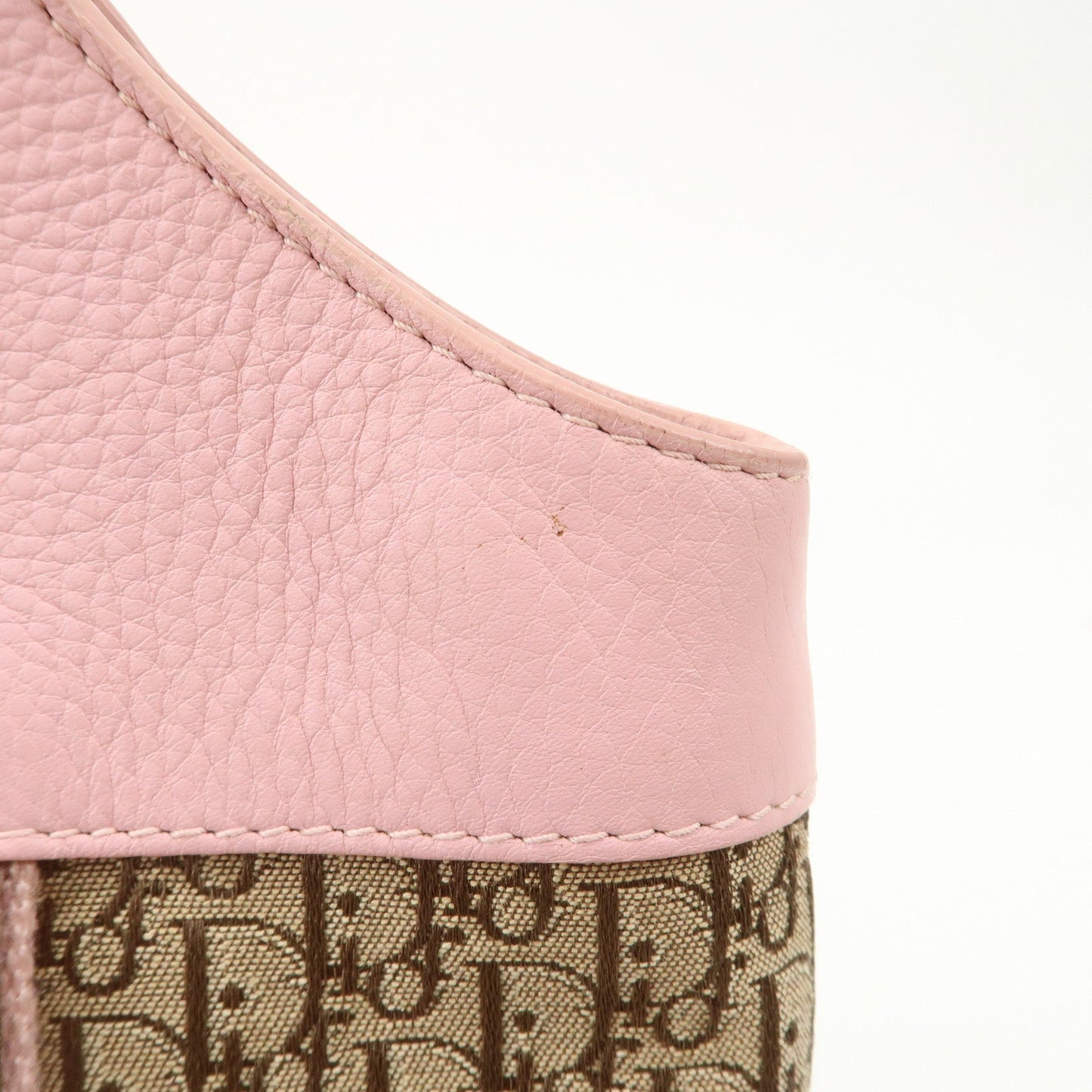 Christian Dior Trotter Street Chic Canvas Tote Bag【Pre-order】