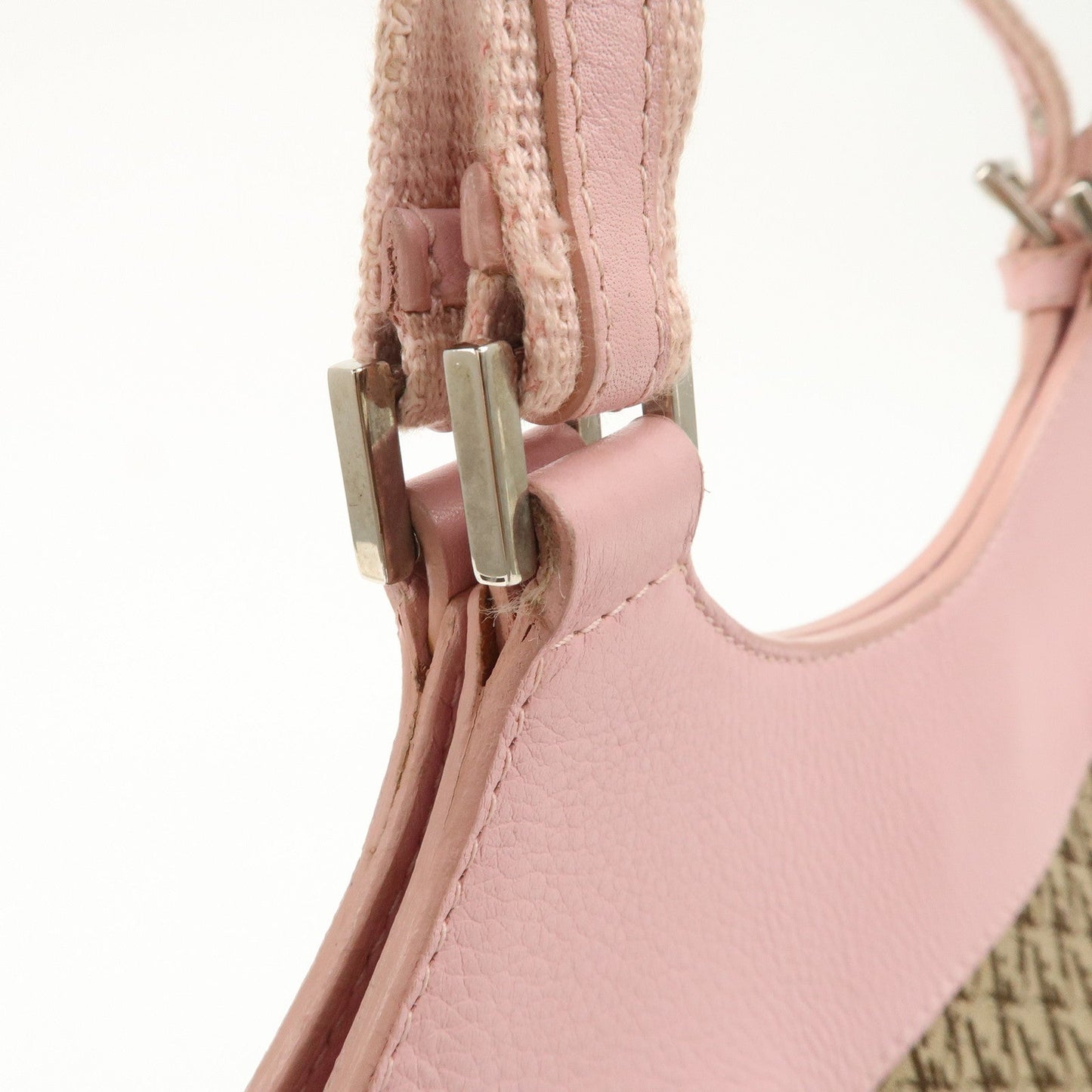 Christian Dior Trotter Street Chic Canvas Tote Bag【Pre-order】