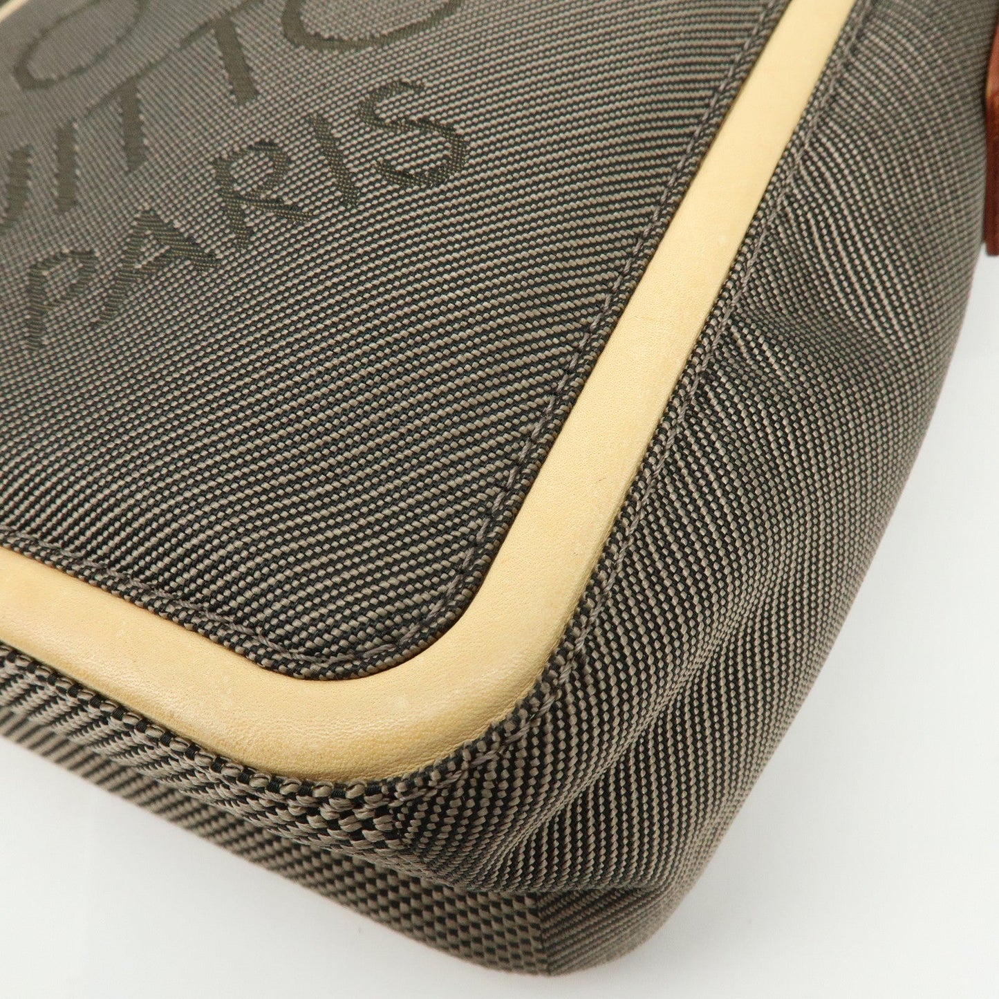 Louis Vuitton Damier Geant Citadin Shoulder Bag Terre M93040【Pre-order】