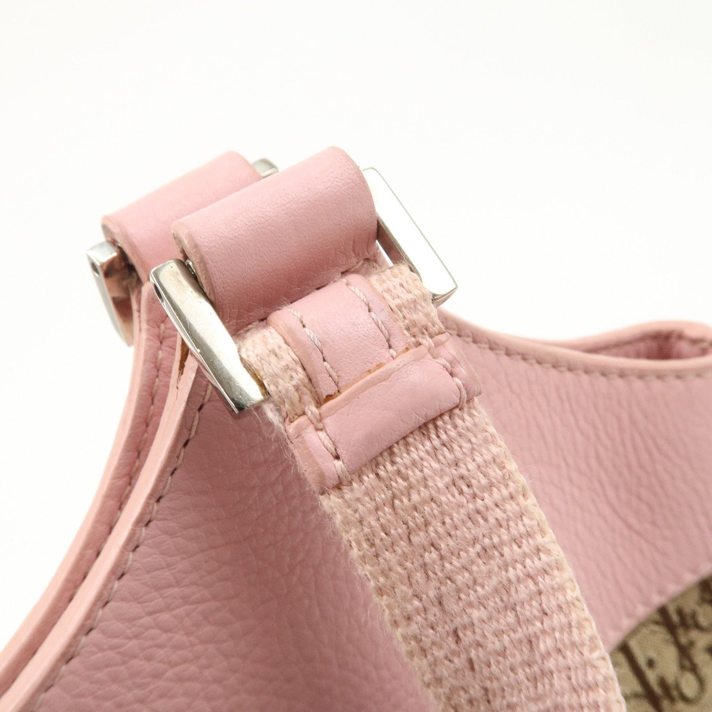 Christian Dior Trotter Street Chic Canvas Tote Bag【Pre-order】