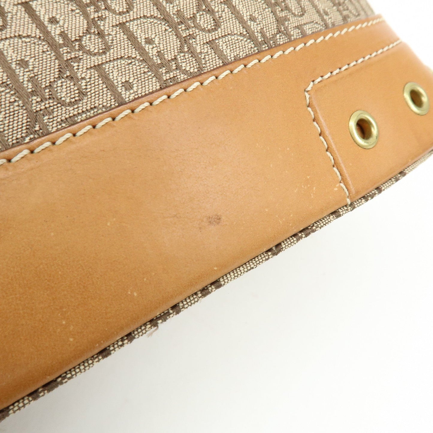 Christian Dior Trotter Street Chic Jacquard Canvas Leather Hand Bag【Pre-order】