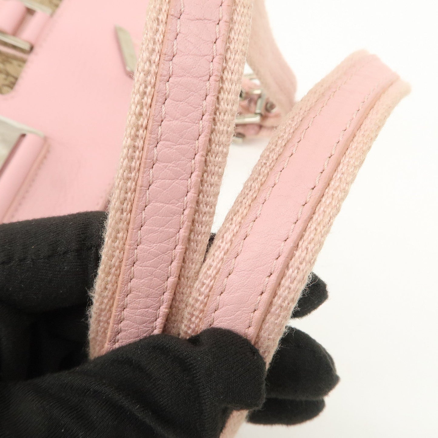 Christian Dior Trotter Street Chic Canvas Tote Bag【Pre-order】
