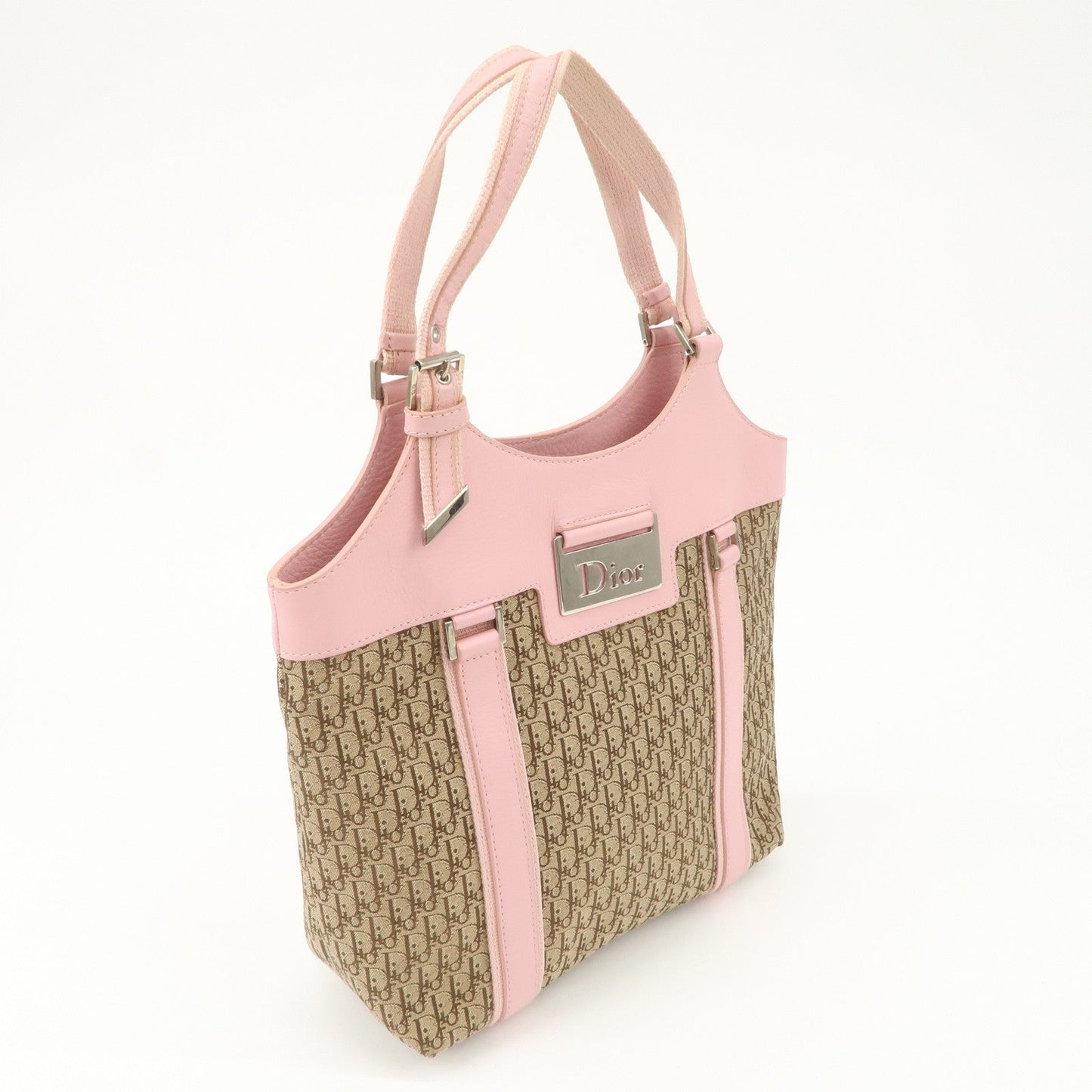 Christian Dior Trotter Street Chic Canvas Tote Bag【Pre-order】