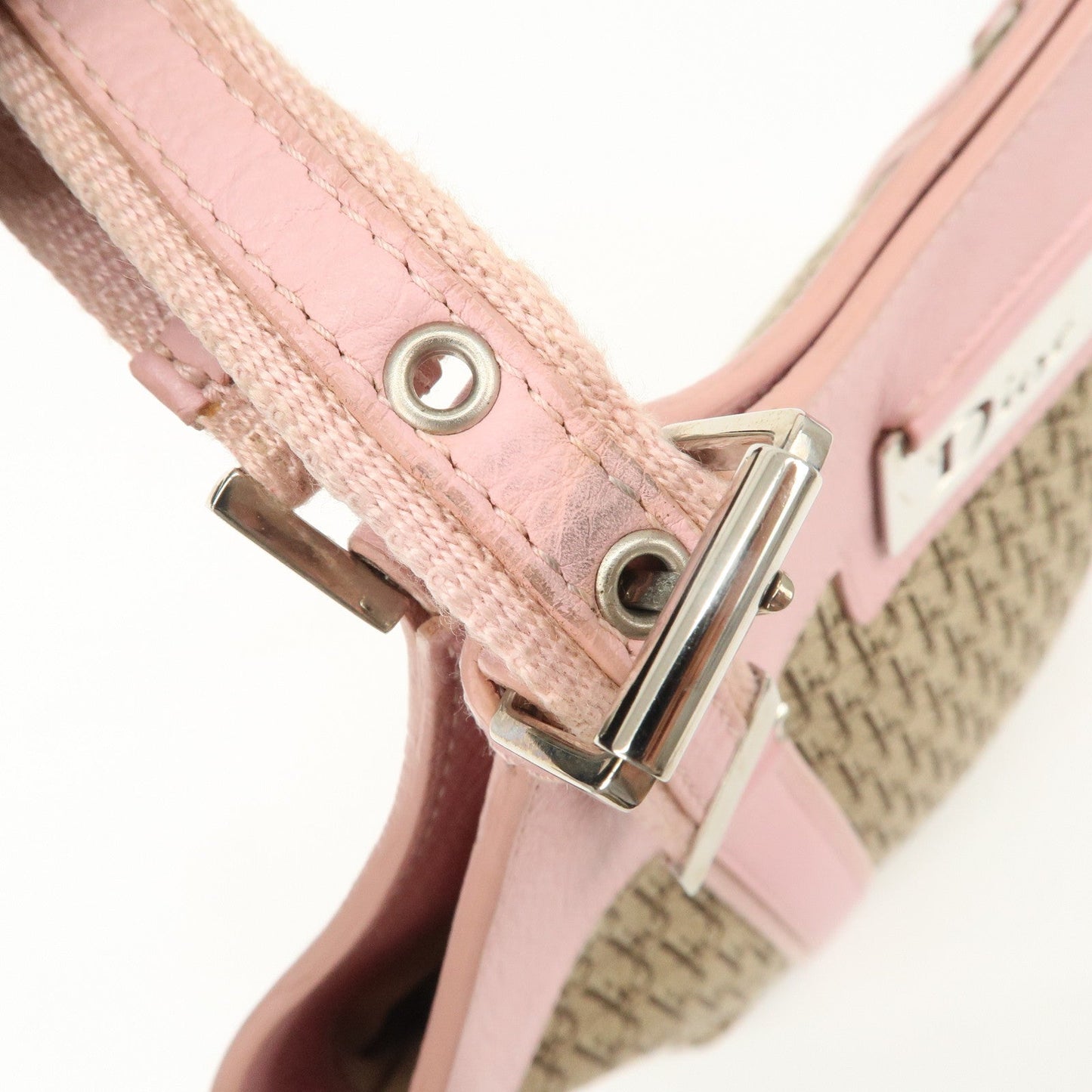 Christian Dior Trotter Street Chic Canvas Tote Bag【Pre-order】