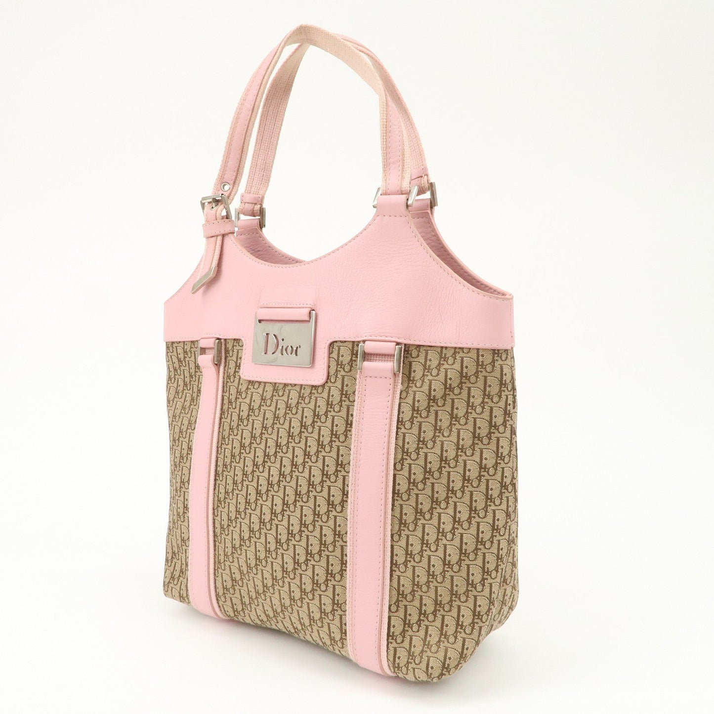 Christian Dior Trotter Street Chic Canvas Tote Bag【Pre-order】