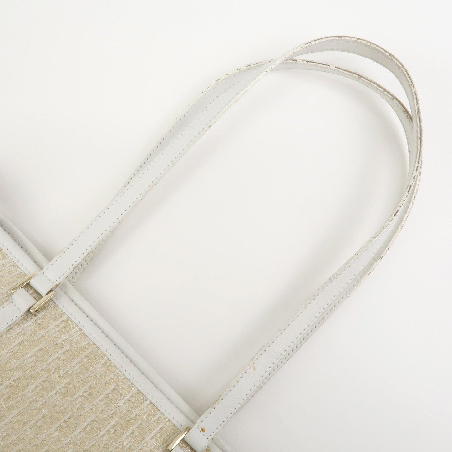Christian Dior Trotter Canvas Leather Tote Bag【Pre-order】