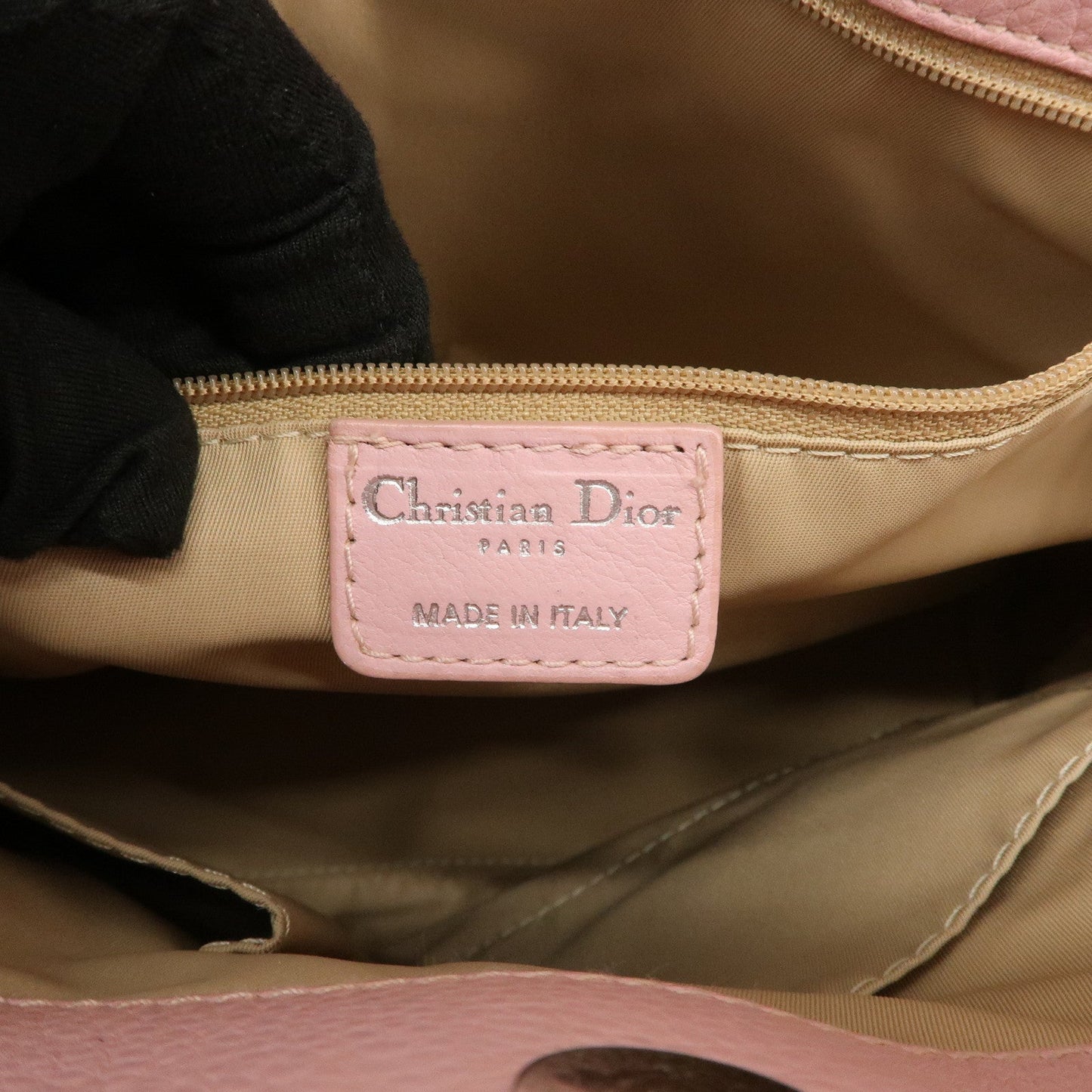 Christian Dior Trotter Street Chic Canvas Tote Bag【Pre-order】