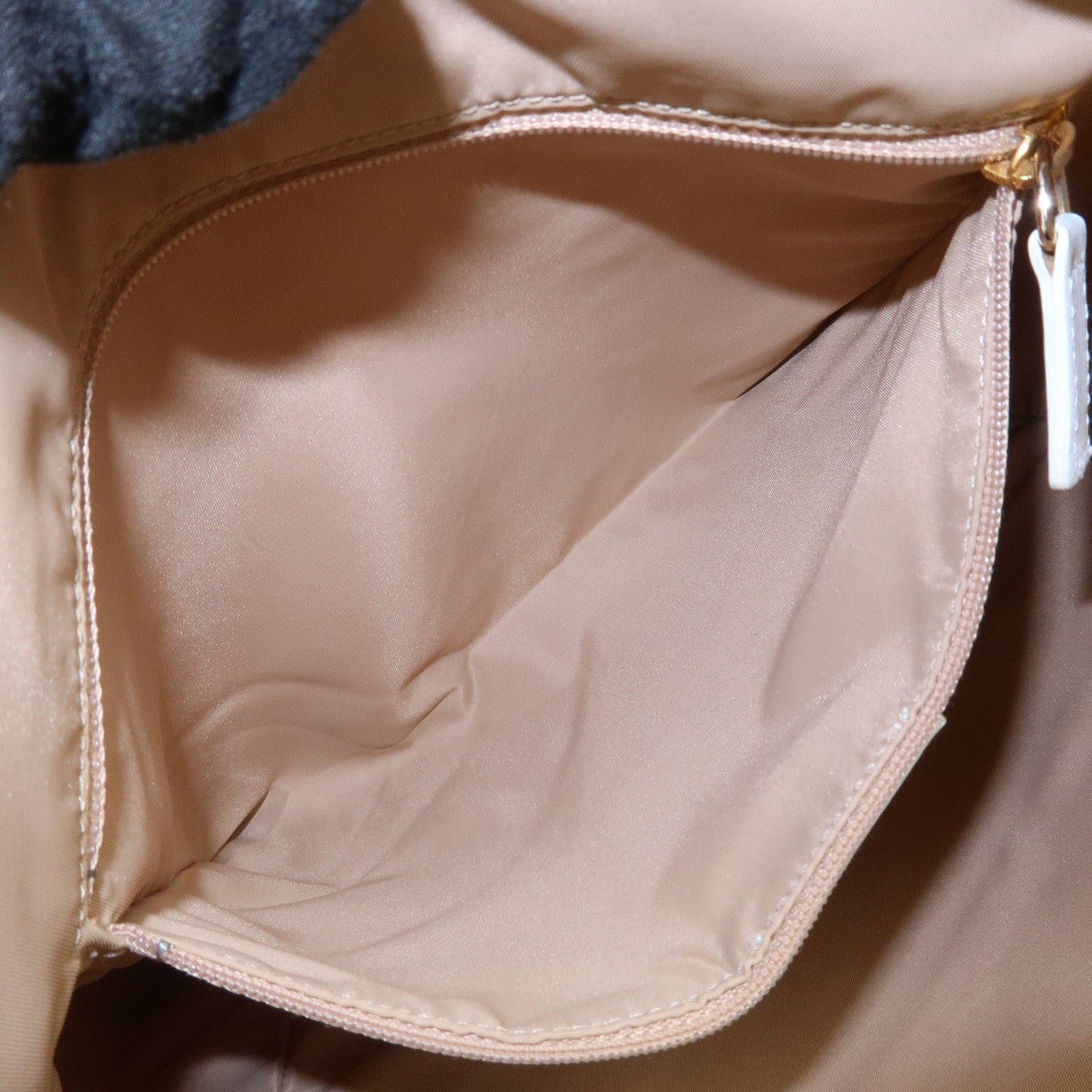 Christian Dior Trotter Canvas Leather Tote Bag【Pre-order】