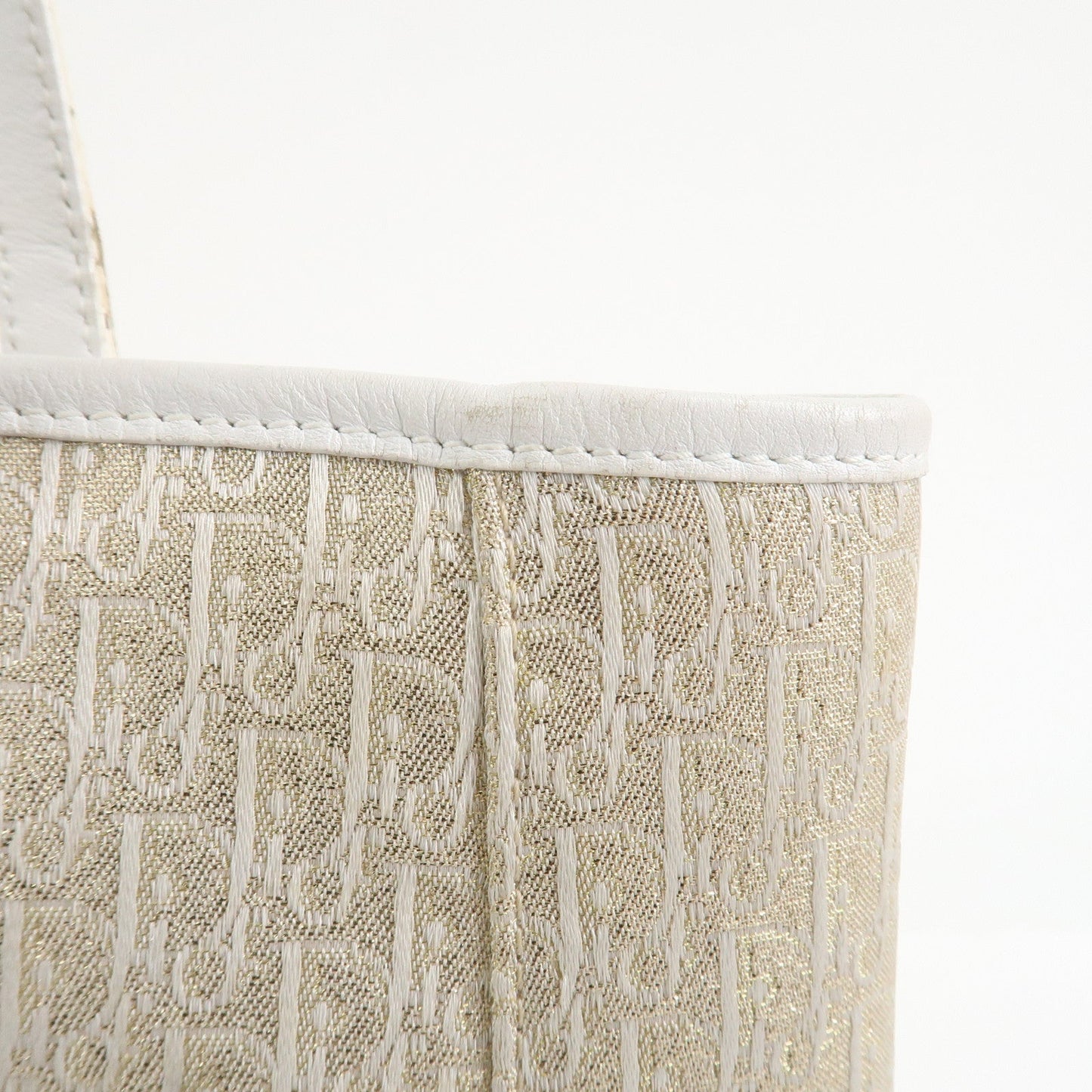 Christian Dior Trotter Canvas Leather Tote Bag【Pre-order】