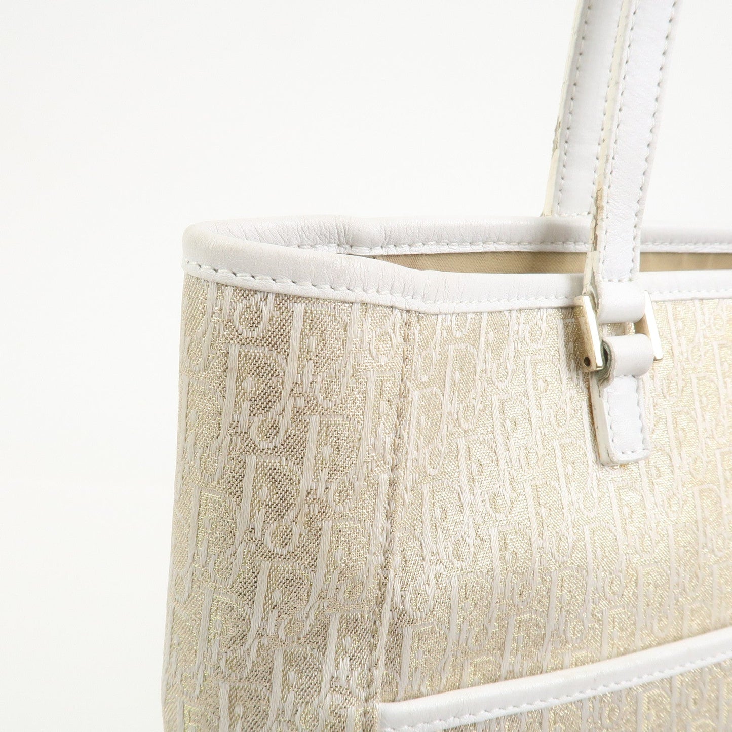 Christian Dior Trotter Canvas Leather Tote Bag【Pre-order】
