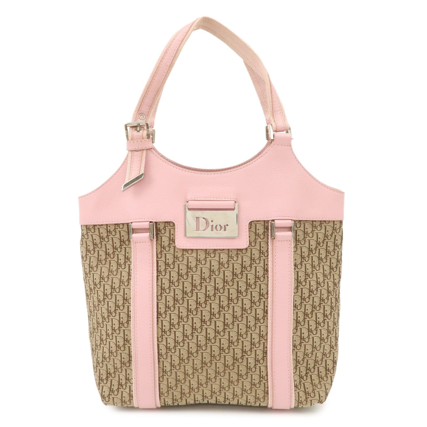 Christian Dior Trotter Street Chic Canvas Tote Bag【Pre-order】