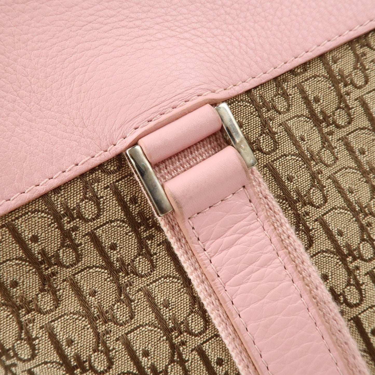 Christian Dior Trotter Street Chic Canvas Tote Bag【Pre-order】