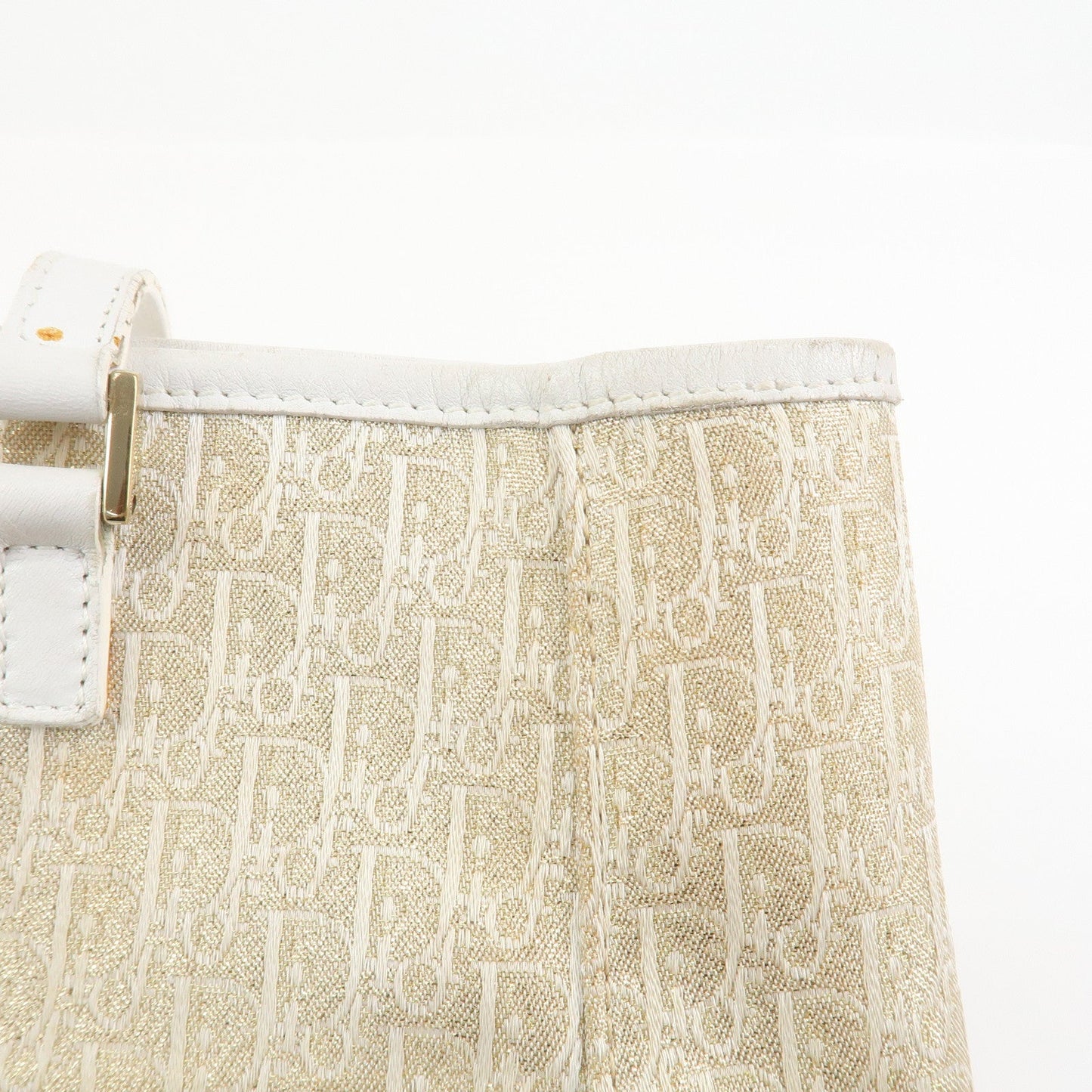 Christian Dior Trotter Canvas Leather Tote Bag【Pre-order】