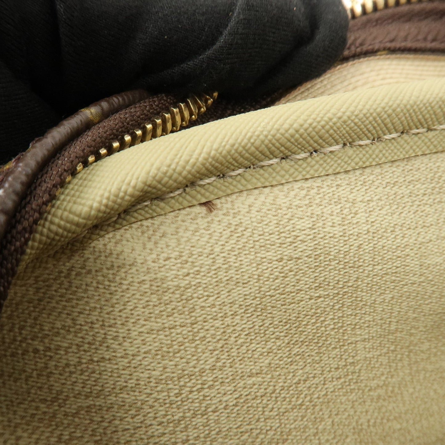 Louis Vuitton Monogram Trueville Hand Bag Brown M42228【Pre-order】