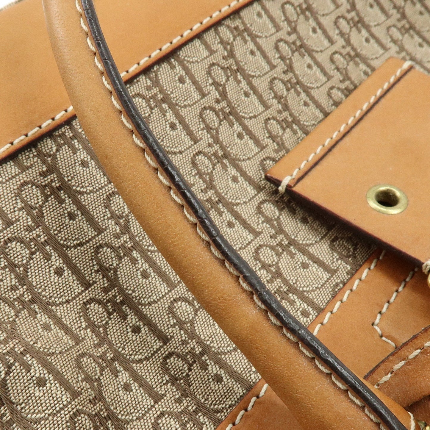 Christian Dior Trotter Street Chic Jacquard Canvas Leather Hand Bag【Pre-order】