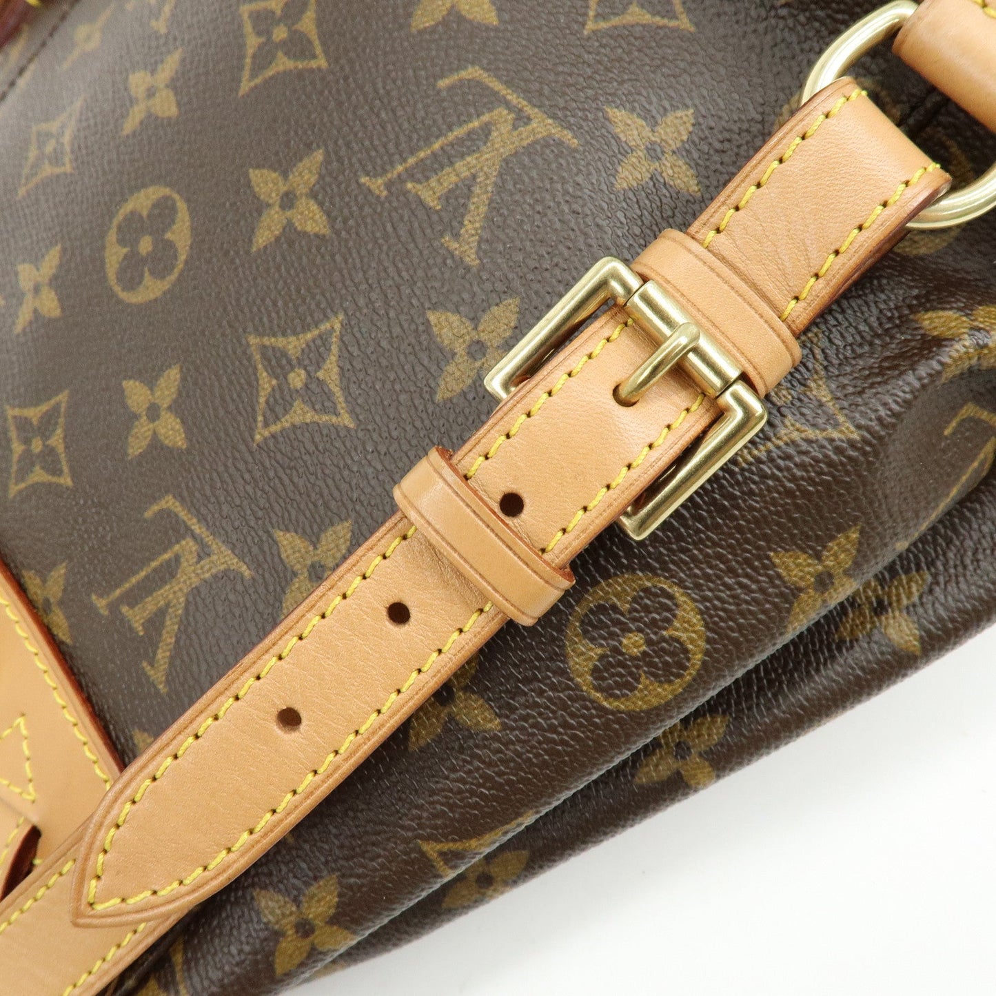 Louis Vuitton Monogram Montsouris MM Backpack Brown M51136【Pre-order】