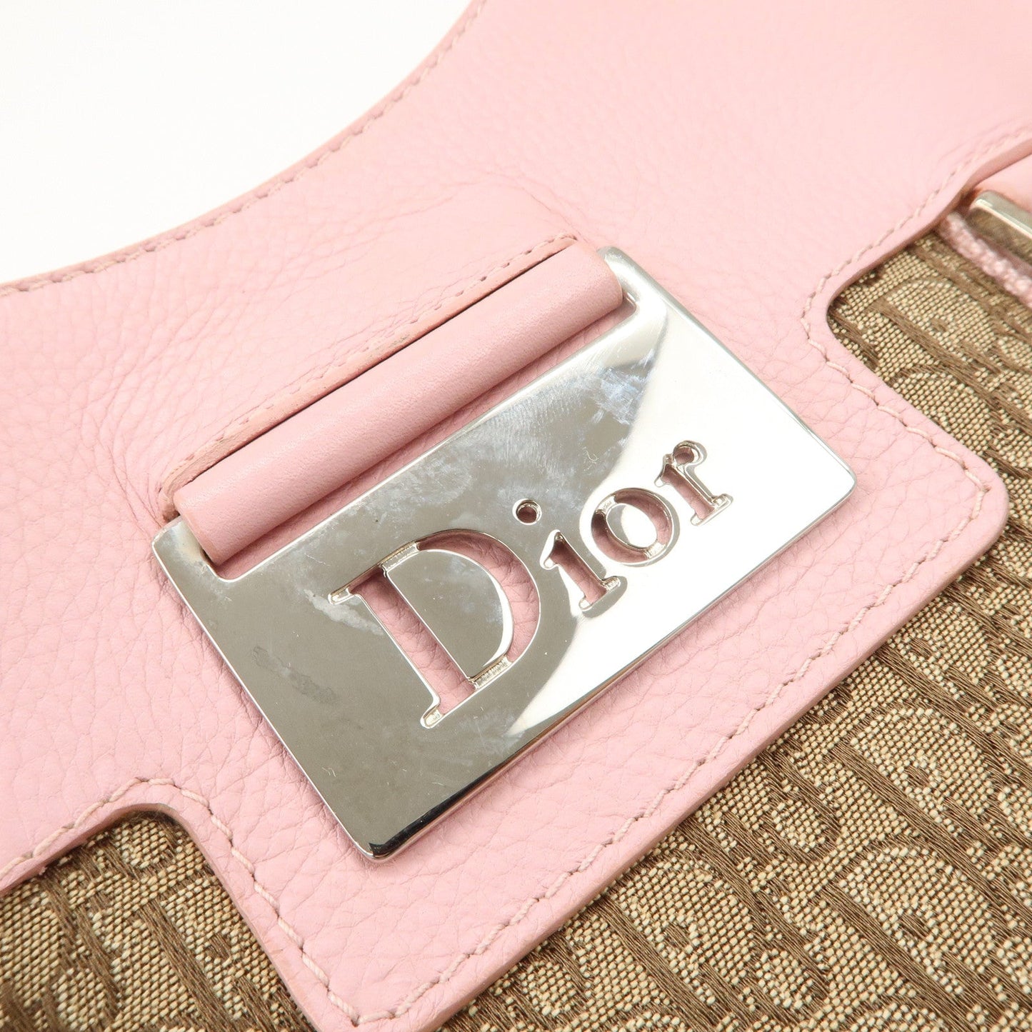Christian Dior Trotter Street Chic Canvas Tote Bag【Pre-order】